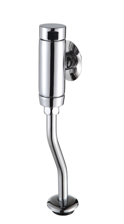 Латунь клапана флюшометра у сечі